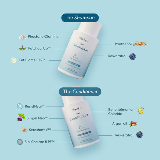 Shampoo and conditioner bottles with ingredient labels on a light blue background